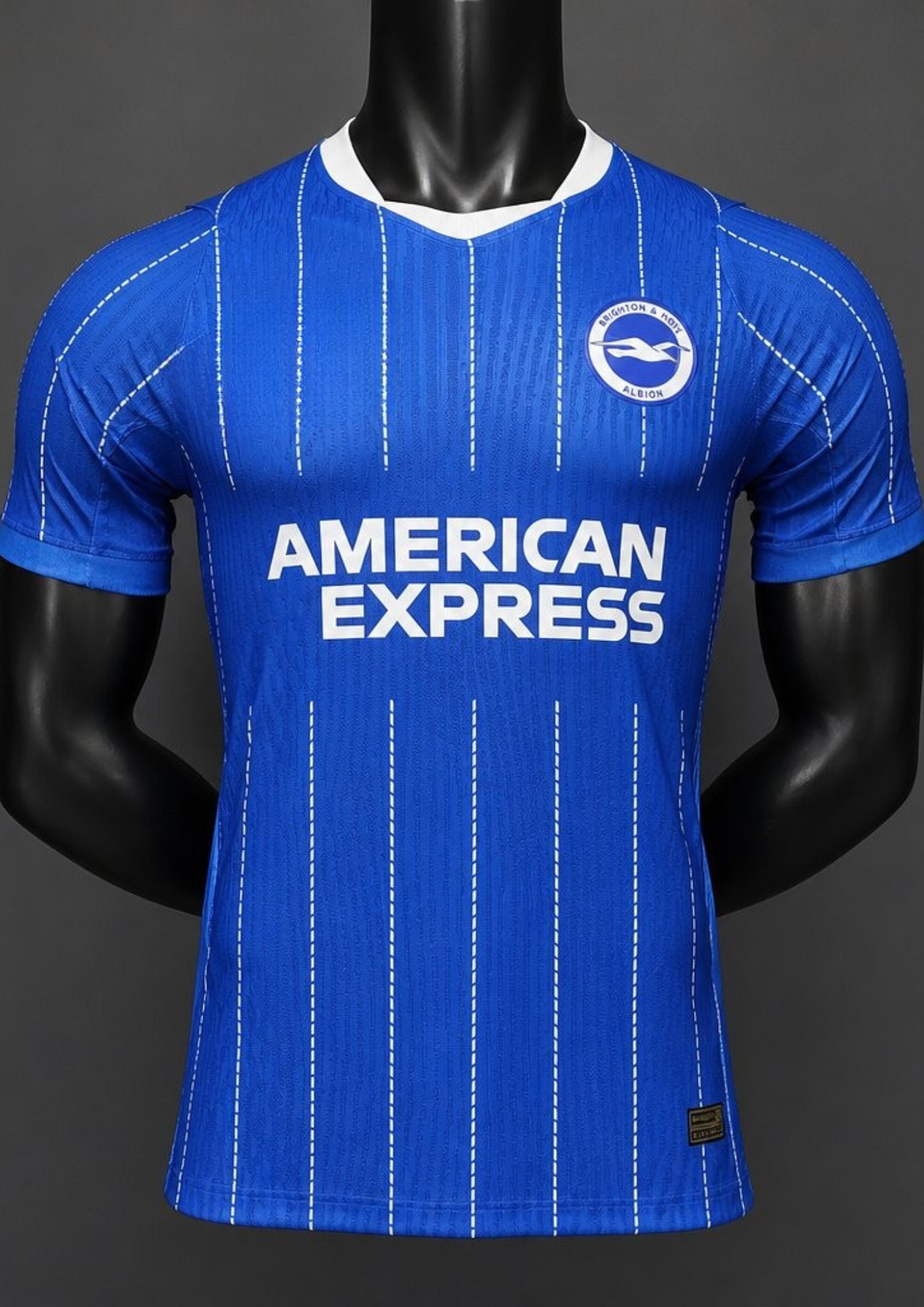 Camiseta Brighton & Hove Albion - 1a equipación 26/27